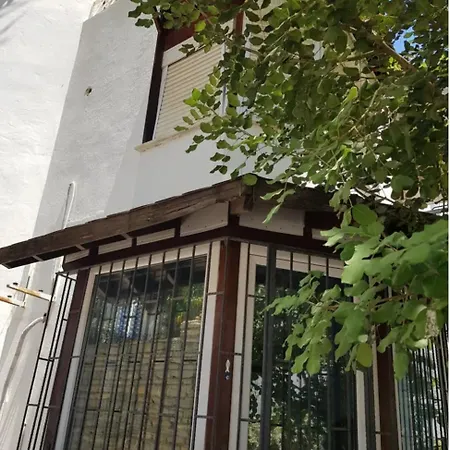 Spring's House *